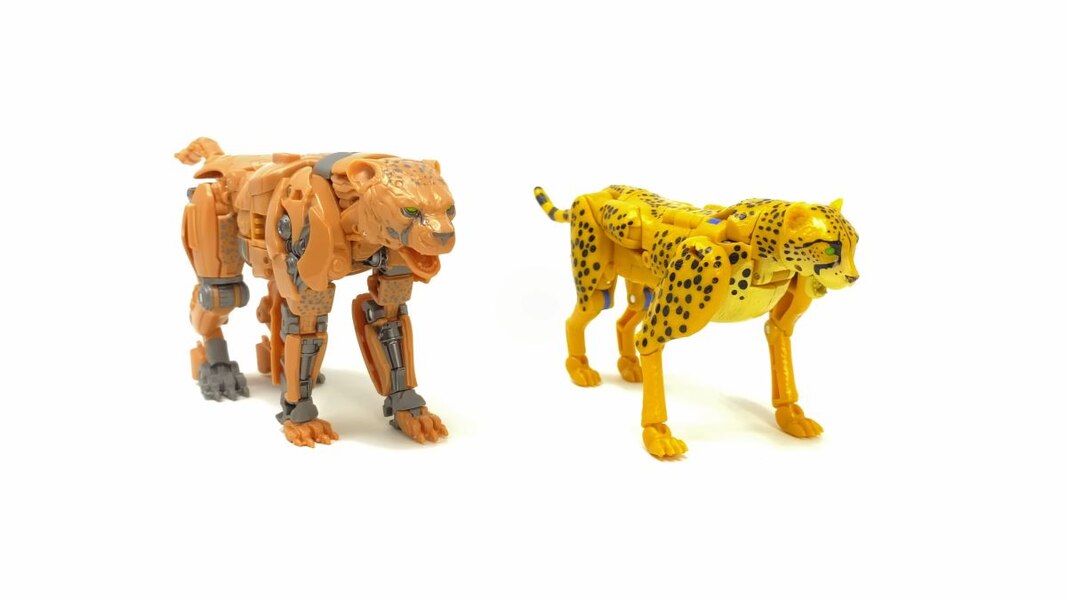 In Hand Image Of Studio Series Rise Of The Beasts 98 Cheetor  (37 of 51)